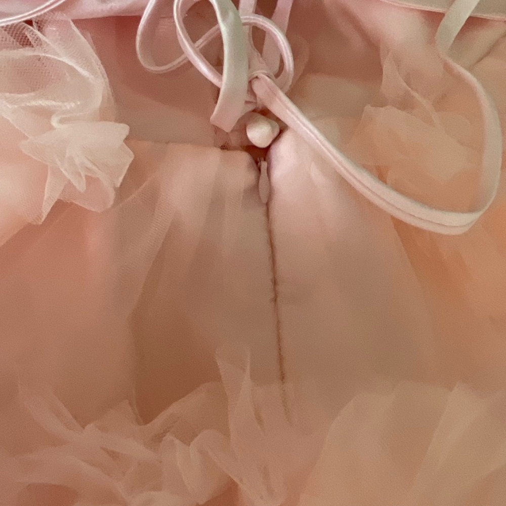 Pink Ruffled Gown with Flutter Sleeves - Picture 14 of 15